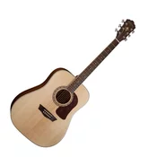 Washburn HD10S