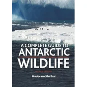 A Complete Guide to Antarctic Wildlife