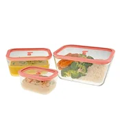 Status Viva set vakuumskih posuda, 3-dijelni, losos (0,5 L, 1,4 L, 2,6 L)