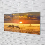 tulup.si Zidna obloga za kuhinju Zebra zahodu oblaki 100x50 cm