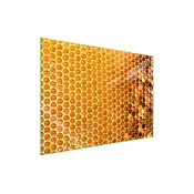 shumee Steklena zaščitna plošča za štedilnik 70x52 Honey
