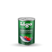 Ligo | Navadne sardine v paradižnikovi omaki