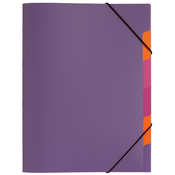 PAGNA Organizator mapa PAGNA, Funky School, DIN A4, PP, 5 predelkov, (21652614)