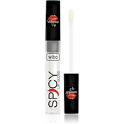 Wibo lip gloss - Spicy Lip gloss - 10 (US022N10)