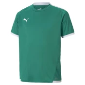 PUMA Funkcionalna majica teamLIGA, zelena
