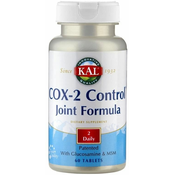 COX-2 Control Joint Formula - 60 tabl.