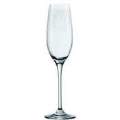 Leonardo  Leonardo komplet 6 kozarcev za šampanjec 200 ml Chateau L061590