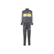 ADIDAS SPORTSWEAR Športna trenirka Seasonal Essentials Tiberio apno/temno siva/bela