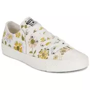 CONVERSE Niske tenisice CHUCK TAYLOR ALL STAR  boja pijeska