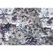 Komar foto tapet 8-962