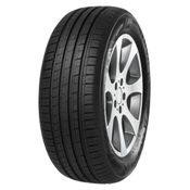 Minerva F209 ( 225/55 R16 99W RF)