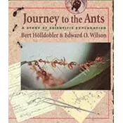 Journey to the Ants