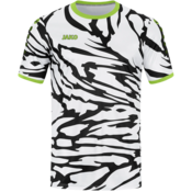 Dres Jako t Anima KA