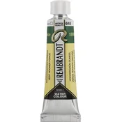 Rembrandt Professional Watercolour Paint 10 ml Hooker Green Deep