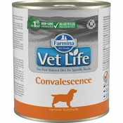 Vet Life Natural Canine Cons. Okrevanje 300 g