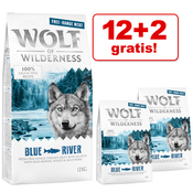 Wolf of Wilderness Senior Blue River - piletina iz slobodnog uzgoja i losos - 2 x 12 kg