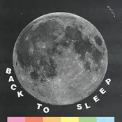 The Makeouts - Back To Sleep (LP)