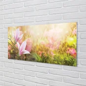 tulup.si Stenska plošča za kuhinjo Magnolia drevo sonce 100x50 cm