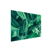 shumee Steklena zaščitna plošča za štedilnik 70x52 Leaf