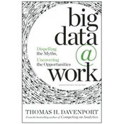 Big Data at Work