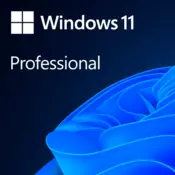 Microsoft Windows Professional 11 64-bit All Languages Online Product Key License 1 License Downloadable ESD NR - FQC-10572