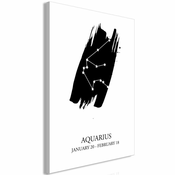 Slika - Zodiac Signs: Aquarius (1 Part) Vertical 60x90