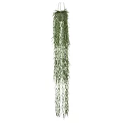 Mömax Umetna Rastlina Tillandsia Ii -Paz-