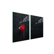 shumee Steklena zaščitna plošča za štedilnik 2x45x52 Rose