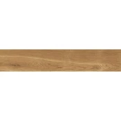 Giornata Sabbia 11x60