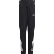 Hlače adidas TIRO25C PREPNTY