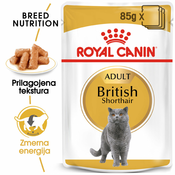 Royal Canin | Cat Adult British Shorthair v omaki