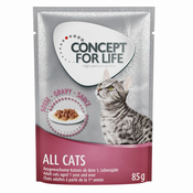 Concept for Life All Cats - v omaki - Varčno pakiranje: 48x85 g