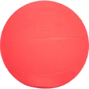 Terinda 1442, medicinska žoga, roza