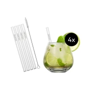 Kozarec za koktajle BASIC BAR 587 ml, s slamicami, set 4 kosov, Zwiesel Glas