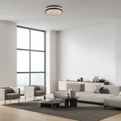 JUST LIGHT. GmbH LED-stropna svetilka Hanni, črna, železo, aluminij, kristalni videz - Dnevna soba/jedilnica - Sodobni - črna, prosojna - Kovina