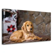 shumee Platno s sliko Živali Koker pes 100x60 cm