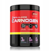 Genius Nutrition Aminokiselina Karnogen Beta-Alenine, 300 g