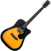 Pasadena PDC-100 Sunburst Akustična kitara