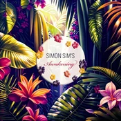 Simon Maurice - Awakening (LP)