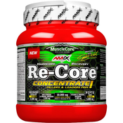 Amix Re-Core Concentrated 540 g, sadni punč