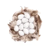 Plastična jajca in perje prepelice  / set (ustvarjalni)