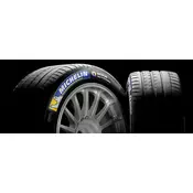 MICHELIN letna pnevmatika 255/40 R21 102Y XL TL PILOT SPORT EV ACOUSTIC GOE  MI