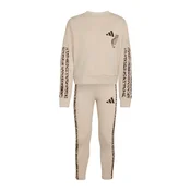 ADIDAS SPORTSWEAR Športna trenirka temno siva/črna