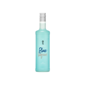 DANA COCKTAIL BLUE LAGOON 14% 0,7L - ROK UPORABE 18.2.24