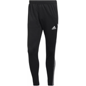 adidas CON22 TR PNT