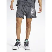 Reebok Športne kratke hlače Classics Block Party Shorts HS9179 Siva