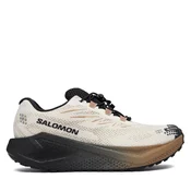 Tekaški čevlji Salomon Aero Blaze 4 gtx GORE-TEX L45403200 Bež