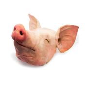 Svinjske glave, 4-7 kg, sveže