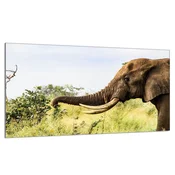 shumee Steklena zaščitna plošča za štedilnik 90x52 Elephant