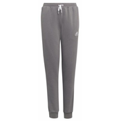 adidas Hlače ENT22 SW PNTY